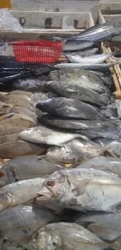 Fish, West Java, Indonesia Stock Photos