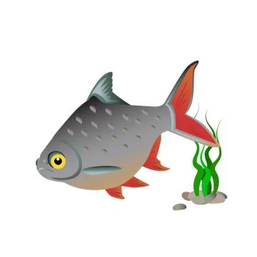 Fish on a white background Stock Illustration