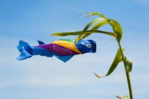 Fish in the wind Stock Photos