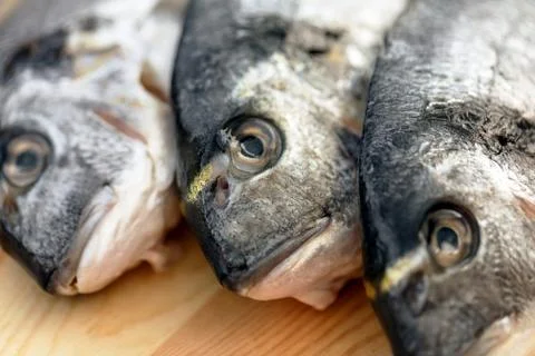 Fish on wooden background Stock Photos