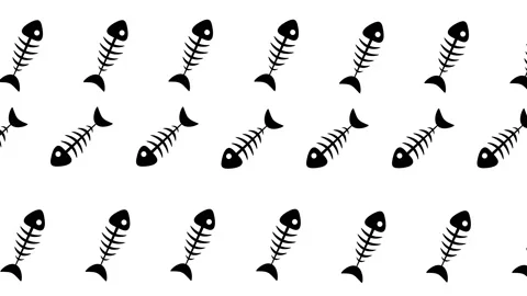 Fishbone fish skeleton Stock Footage 160324937