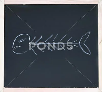 Fishbone Stock Photos