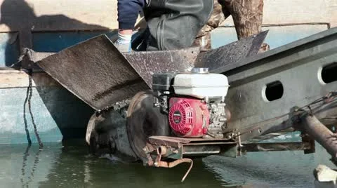 Fisheman loading carp fish into boat conveyor HD 0798 Stock Footage 12754567