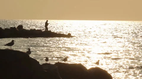 Fisher on coast Stock Footage 28232333