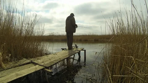 Fisher Video stock 36756124