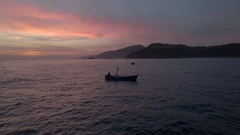 Fisher Stock Footage 195437582