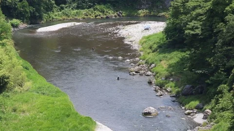 Fisher man in the river Video stock 78995985