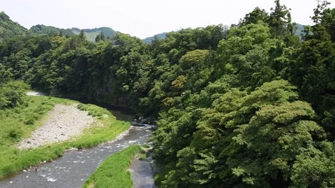 Fisher man in the river Stock Footage 79010217