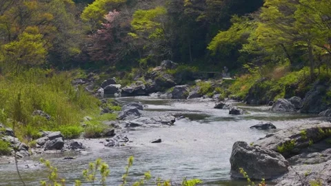 Fisher man in the river Stock Footage 152293629