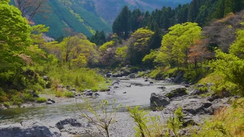 Fisher man in the river Stock Footage 152293637