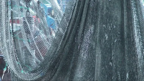 Fisher Mannet Stock Footage 98679755