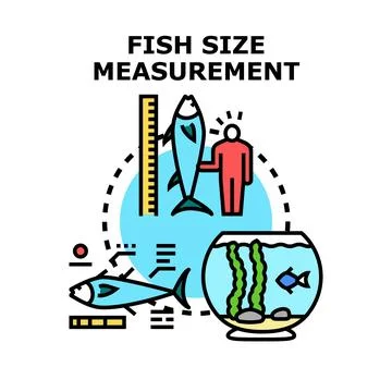 Fisher measuring large fish size concept vector Stock Illustration