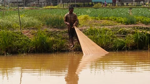 Fisher pulls fishnet with catch from small river of Myanmar Stock Footage 61330368