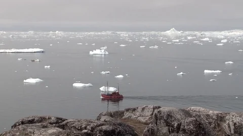 Fisherboat is cruising on the sea between icebergs at Illulisat, Greenland. Stock Footage
