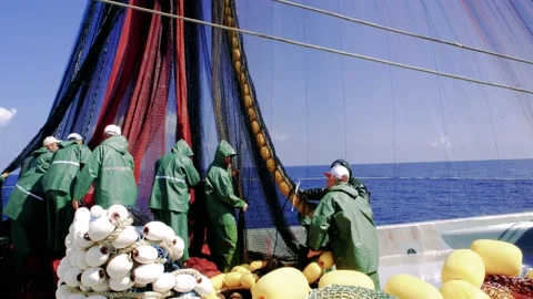 Fisheries Stock Footage 152998802