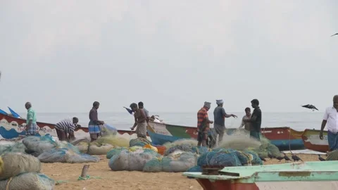 Fisherman 3 Video stock 144583874