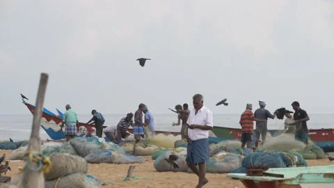 Fisherman 4 Video stock 144583906