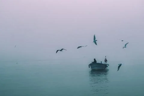 Fisherman and birds in fog Stock Photos