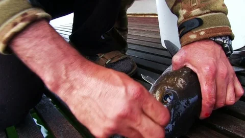 Fisherman And Caught Fish Видео 73909093