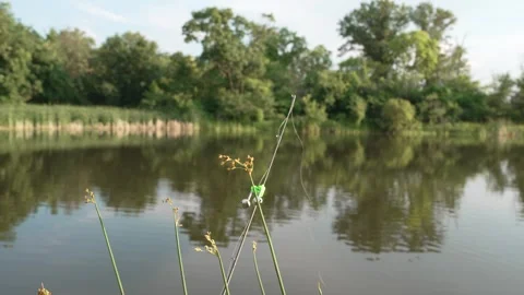 Fisherman Attaching Bite Alarm Bell to Fishing Rod by Pond in 4K Stock Footage 340837612