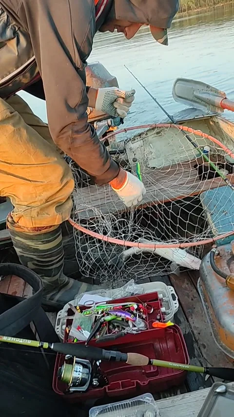 Fisherman in a boat caught a large pike fish Stock Footage 283840853