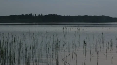 Fisherman in boat Stock Footage 10800760