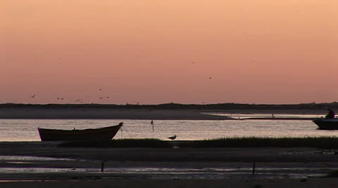 Fisherman boat river Stock Footage 32394785