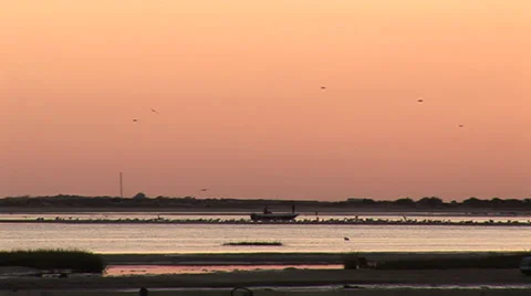 Fisherman boat river Stock Footage 32394809