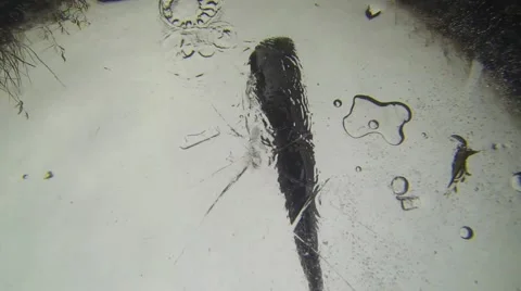 Fisherman breaks ice with the help of the paddle. Stock Footage 45045381