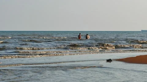 Fisherman casting a net at beach Stock Footage 50795567