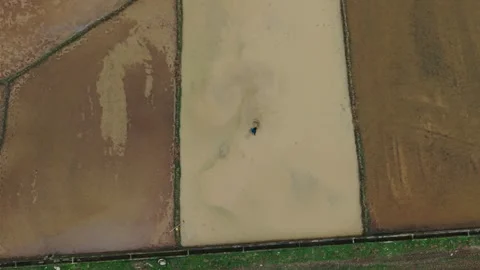 Fisherman Casting Net In Flooded Paddy, Asian Wader Creating Circular Ripples Stock Footage 345449275
