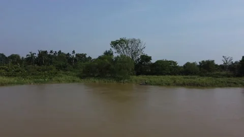 Fisherman casting net Stock Footage 149221020