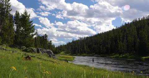 Fisherman casting in a wide stream 4k 24fps Stock Footage 79132382
