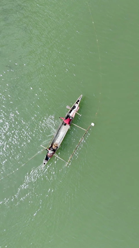 A fisherman casts his net over green, chlorophyll-rich waters in Inner Malampaya Stock Footage 336692191