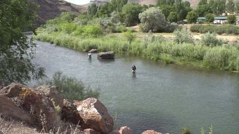 Fisherman with a catch Stock Footage 101437412