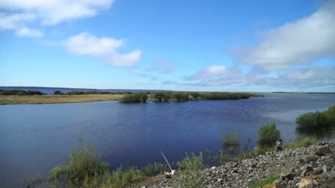 Fisherman catches fish on the river Video stock 140380933