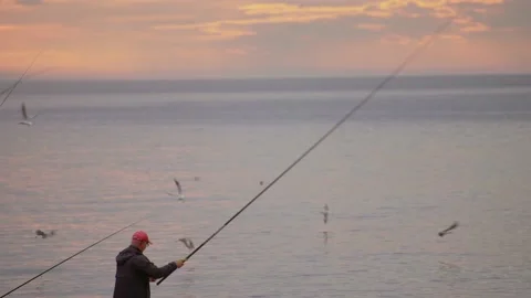 A fisherman catches fish at sunset surrounded by seagulls Stock Footage 221864909