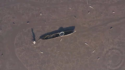 Fisherman catching catfish in thick mud due to drought and climate change Stock Footage 118265250