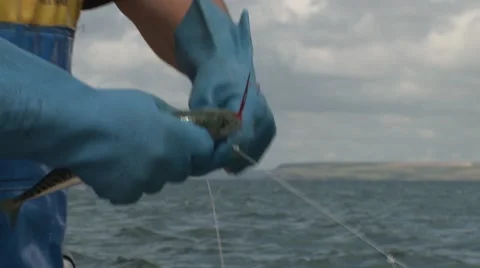 Fisherman catching fish 2 Stock Footage 47325939