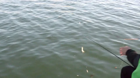 Fisherman catching fish Stock-Footage 44117799