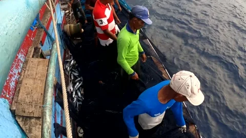 The Fisherman caught fish in nets. Industry thrives on caught fish in nets. 스톡 동영상 280328020
