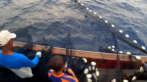 The Fisherman caught fish in nets. Industry thrives on caught fish in nets. 스톡 동영상 280328039