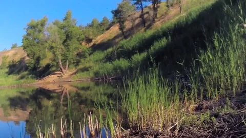 Fisherman caught a perch Stock Footage 83355054