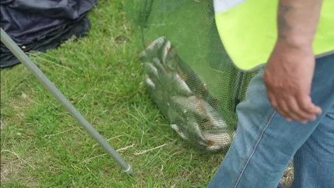 Fisherman caught wild fish on the river in the city. Catch fisherman in Stock Footage 78460130