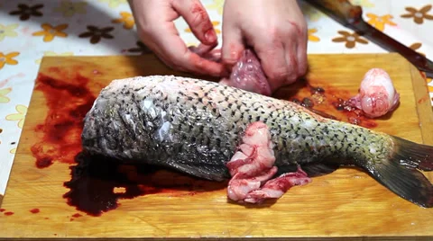 Fisherman cleaning a carp fish Stock Footage 36005282