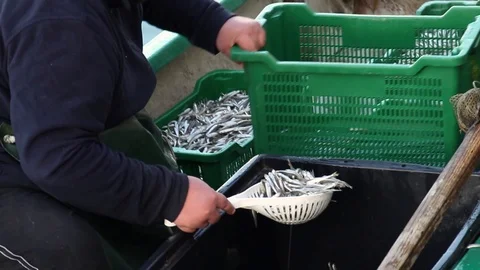 Fisherman controls the fish Video stock 87520705