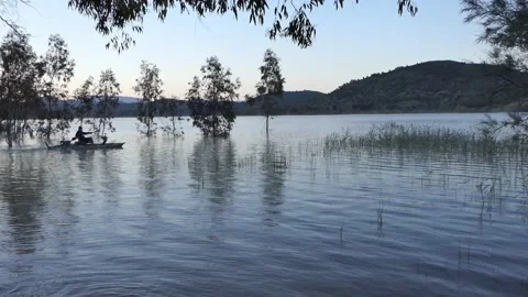 Fisherman in the dam Video stock 196031183
