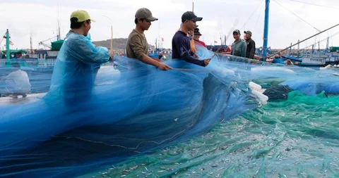 Fisherman at the depot ship Stock Footage 101091968
