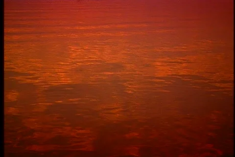 Fisherman on dock at sunset 2 Stock Footage 492956