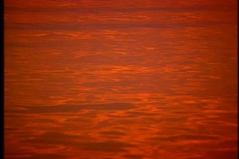 Fisherman on dock at sunset 3 Stock Footage 509772